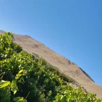 باغ انگور و میوه|فروش زمین و ملک کلنگی|زنده رود, |دیوار