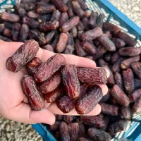 پخش عمده خرما استان کردستان به صورت مستقیم|خوردنی و آشامیدنی|سریش آباد, |دیوار