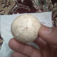 گوی شب نما