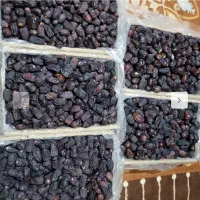 فروش فوری ۵۰۰کیلوخرمادرجه۲فله داخل مادرکارتن