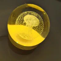 گوی شیشه ای طرح عروس دریایی