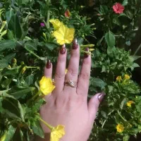 کاشت ناخن ومژهبا فقط    ۱۸۰ تومان