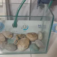 ۲عدد اکواریم در ابعاد ۲۲س ارتفاع ۳۰س طول ۱۵س عرض