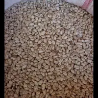 لوبیا چیتی و محلی|خوردنی و آشامیدنی|اصفهان, دانشگاه افسری امیرالمومنین|دیوار