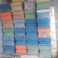 کندو فروشی|حراج|بروجن, |دیوار