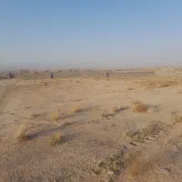 زمین-باغی