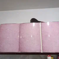 کابینت ودرحیاط|آب‌چکان و نظم‌دهنده ظروف|سقز, |دیوار