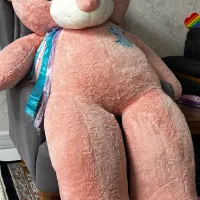 شاسخین 2 متری