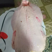 مرغ منجمد اقتصادی لوکس