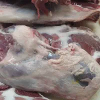 شله گوسفندی|خوردنی و آشامیدنی|تهران, قیام|دیوار