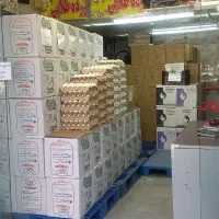 فروشنده۱۸سال به بالا یا بازنشسته