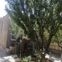 داوطلبانه