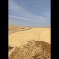 کاه کاه کاه