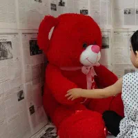 خرس|اسباب و اثاث بچه|هشتگرد, شهرک ریحانه|دیوار