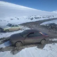 پژو ۸۱انژکتور