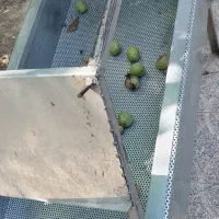 دستگاه‌ عسلگیر و خرک|سایر لوازم برقی|الشتر, |دیوار