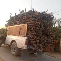 خرید وفروش چوب هیزمی و صنعتی