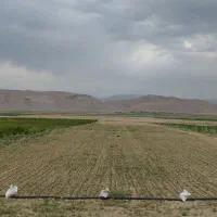 حدود ۲ هکتار زمین زراعی