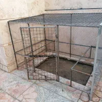 قفس مرغ وخروس یا کبوتر