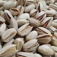 مرکزتولیدوخریدوفروش پسته ومغزفیض آبادمه ولات|خوردنی و آشامیدنی|مه ولات, |دیوار