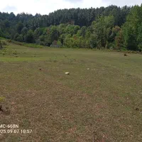 اجاره کوتاه مدت زمین برای کوچ زنبور