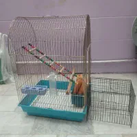 قفس پرنده