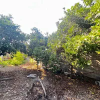فروش خانه روستای جاده دریا زمین  ۴۲۰ متری|فروش خانه و ویلا|بابکان, |دیوار