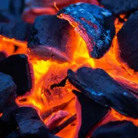 زغال خودسوز درجه یک