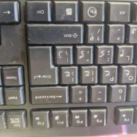 خانم ترجیحا آشنا به کارباکامپیوتر