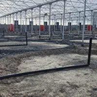استخدام نیروی دائم گلخانه