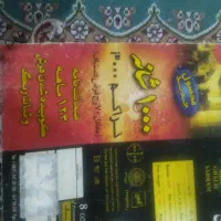 قالی کاملا نو پلاستیک شده|فرش|سیرجان, |دیوار