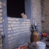 کارگر ساختمانی
