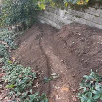 خاک|خدمات باغبانی و درختکاری|رامسر, |دیوار