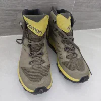 سالمون اصلی|کیف، کفش، کمربند|فسا, |دیوار