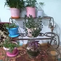 استند گلدان وفرش