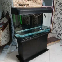 فروش اکواریم دلسا