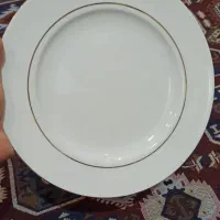 بشقاب غذاخوری چینی ذرین ودیس چینی