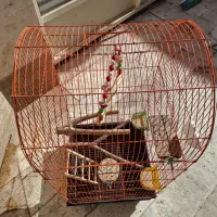 قفس|لوازم جانبی حیوانات|محلات, |دیوار