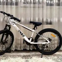 دوچرخه سایز ۲۶