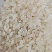 برنج کامفیروزی لوکس