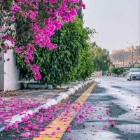 استخدام نماینده دفتر بوم گردی