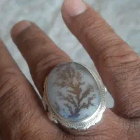 شجر اصل معدنی عتیقه کلکسیونی