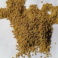 بذر یونجه|عمدهفروشی|قمرود, |دیوار