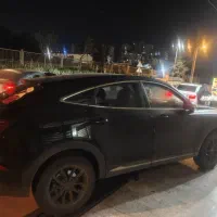 دیگنیتی مشکی داخل مارون