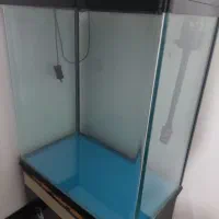 اکواریوم نو