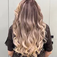 استخدام دستیار حرفه ای رنگ و مش