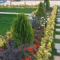 خدمات باغبانی باغچه کاری بیل زنی باغچه کاشت گل و.|خدمات باغبانی و درختکاری|شهریار, شهرک وائین|دیوار