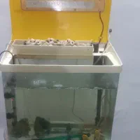 آکواریوم|ماهی|مشهد, رضاییه|دیوار