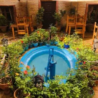 ویتر / ویترس دارای سابقه کار|استخدام خدمات فروشگاه و رستوران|تهران, شیخ هادی|دیوار