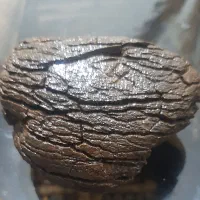سنگ